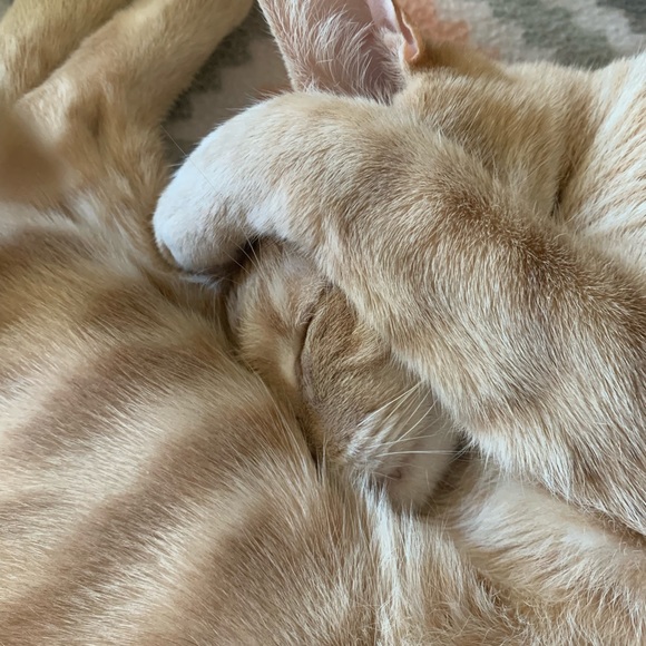 Welcome! - Picture 3 of 3